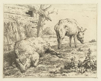 Twee zwijnen door Karel Du Jardin