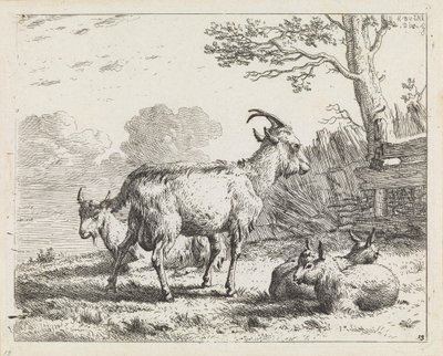  door Karel Dujardin
