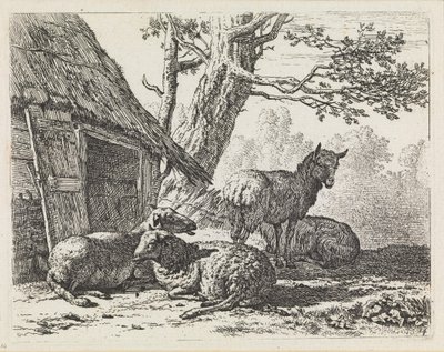  door Karel Dujardin