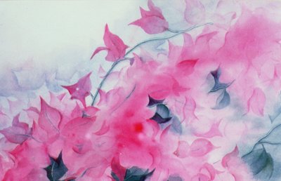 Bougainvillea door Karen Armitage