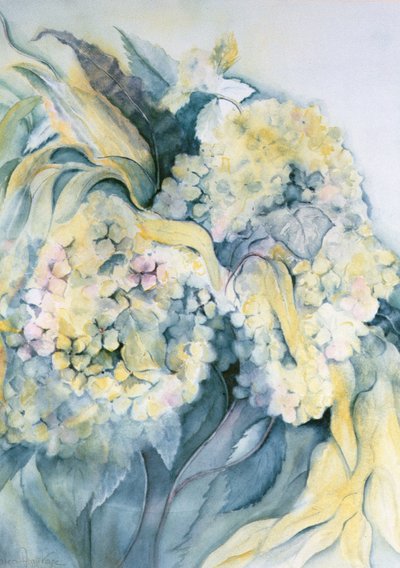Hortensia Particulata door Karen Armitage