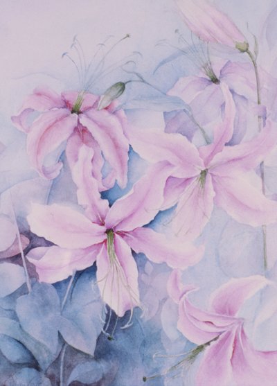 Lelies, roze Auratum door Karen Armitage