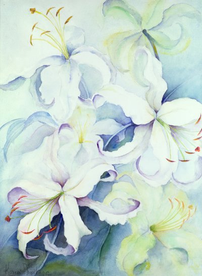 Lilium, Imperial Gold door Karen Armitage