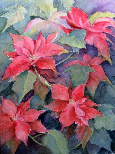 Poinsettia door Karen Armitage