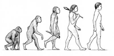 Evolutie van de mens door Karen Humpage