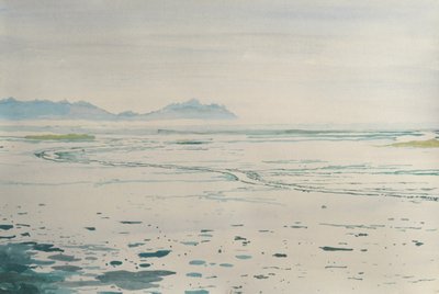 Mistig kustlandschap door Karin Bos