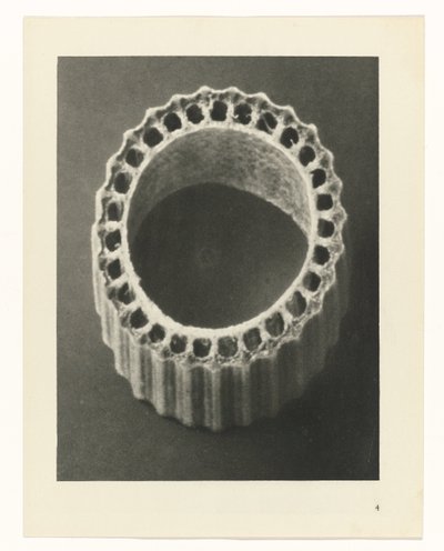 Plantstudies Urformen der Kunst: photographische Pflanzenbilder (serietitel) door Karl Blossfeldt