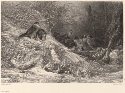 Beschut tegen de rijp door Karl Bodmer
