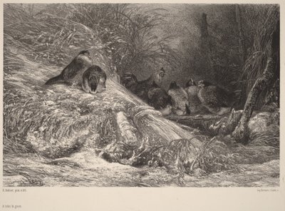  door Karl Bodmer