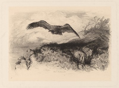 Adelaar in Vlucht door Karl Bodmer