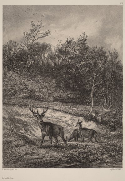  door Karl Bodmer