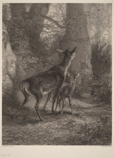 door Karl Bodmer