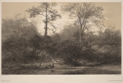  door Karl Bodmer