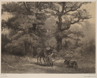  door Karl Bodmer