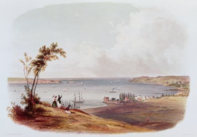 Toegang tot de Baai van New York, Staten Island, gegraveerd door Salathe (kleur litho) door Karl Bodmer