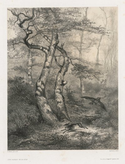 Haas achtervolgd door een havik door Karl Bodmer