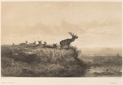 De Ochtend door Karl Bodmer