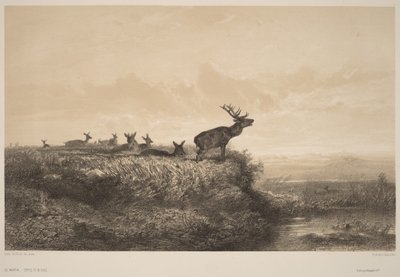 De ochtend door Karl Bodmer