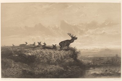 Le Matin. Hert en Hinden door Karl Bodmer