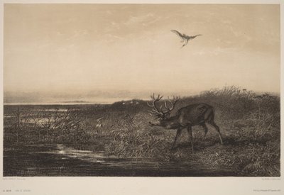  door Karl Bodmer