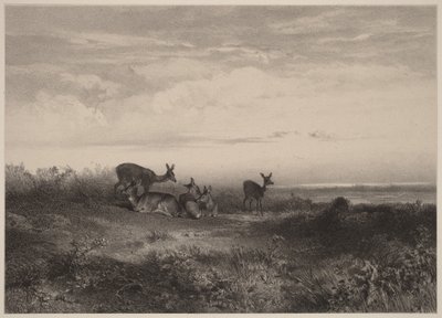  door Karl Bodmer