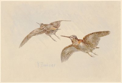  door Karl Bodmer