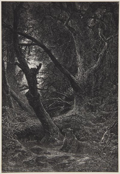  door Karl Bodmer