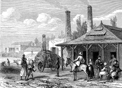 Suikerplant in Mauritius in 1863. Le T du Monde Parijs 1863 Uitgever door Karl Girardet