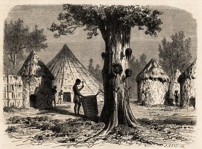 De boom van oorlog, in een dorp Djour, Bahr-el-Gazal regio, Soedan, tekening door Karl Girardet (1813-1871) ter illustratie van de reis naar de rivier van de gazellen van A. Bolognesi, in 1856-1857. Gravure in 