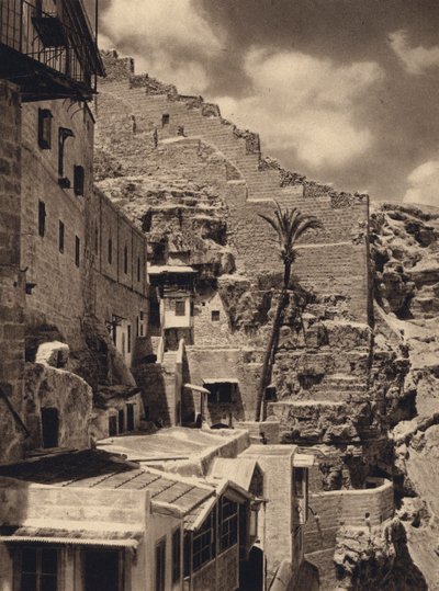 Mar Saba, Palm van St. Sabas door Karl Grober