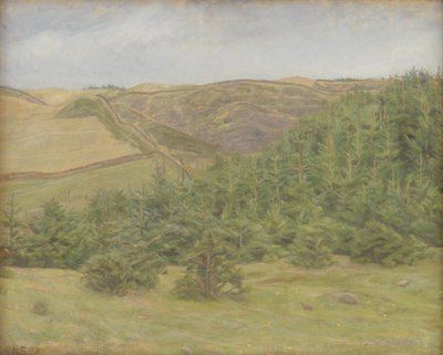 Svanninge heuvels, Funen door Karl Schou
