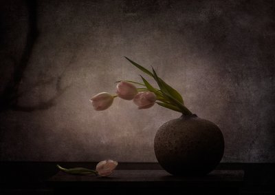  door Katarina Holmström