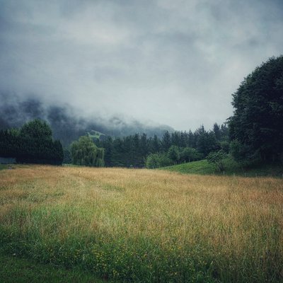 Nevelbergen, 2021 (foto) door Katha Wood