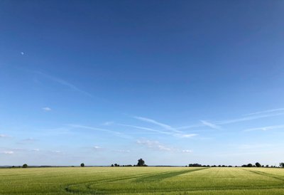 Summer Crop 2018 door Katha Wood