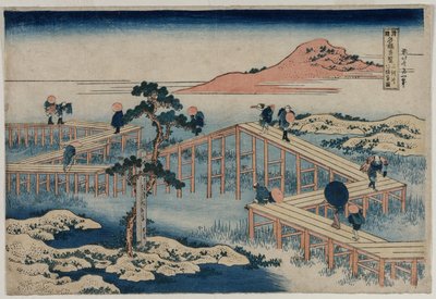 Een oud schilderij van de Acht Deelsbrug in de provincie Mikawa (uit de serie Nieuwsgierige Uitzichten van Beroemde Bruggen in de Provincies) door Katsushika Hokusai