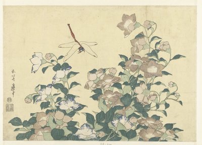 Ballonklokje en libelle door Katsushika Hokusai