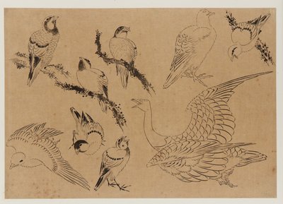 Vogels, Edo-periode, laat 18e-begin 19e eeuw door Katsushika Hokusai