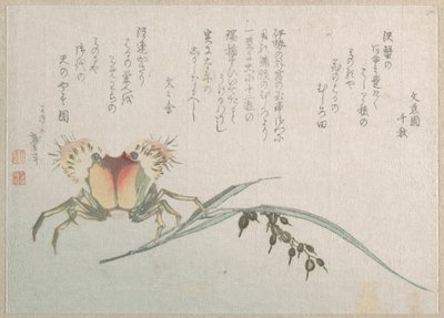 Krab- en rijstfabriek door Katsushika Hokusai