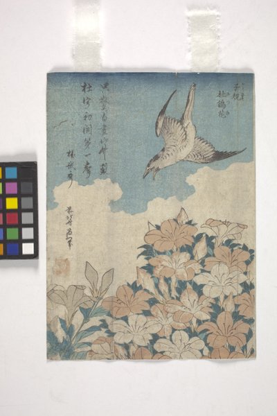 Koekoek en azalea door Katsushika Hokusai