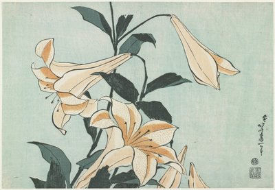 Lelies, ca. 1832 door Katsushika Hokusai