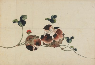 Granaatappels door Katsushika Hokusai