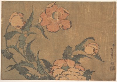 door Katsushika Hokusai