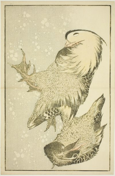 Twee watervogels, uit Het prentenboek van realistische schilderijen van Hokusai door Katsushika Hokusai
