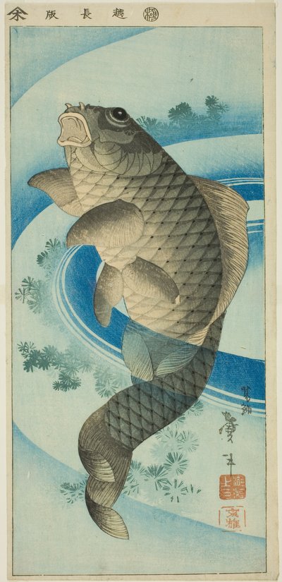 Karper door Katsushika Taito II