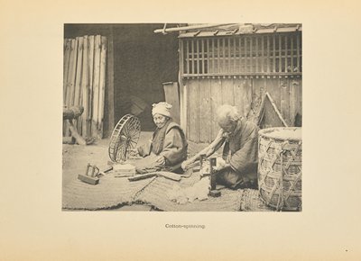 Katoen Spinnen door Kazumasa Ogawa