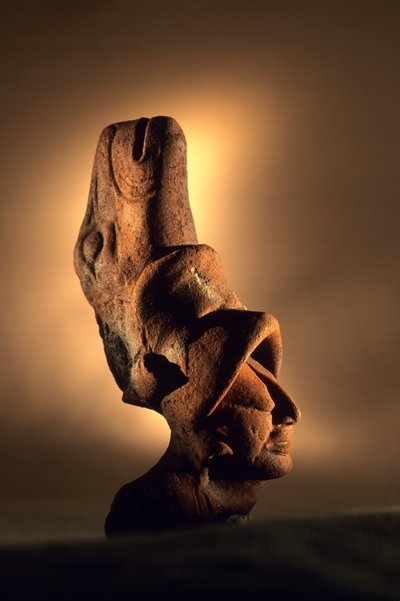 Artefact, Cancuen, Guatemala, Arthur Demarest, Tomas Barrientos, Maya, paleis, Klassieke periode door Kenneth Garrett