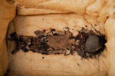 Foetus mummie, kind van Koning Toetanchamon, Foetus 1, vrouwelijk, uit KV62, Momenteel in Qasi Aini Ho door Kenneth Garrett