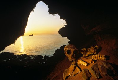 Schedel van een Neanderthaler vrouw, afgeschilferde gereedschappen en botten van een steenbok - wilde geit, Gibraltar door Kenneth Garrett