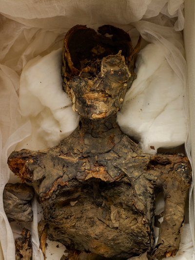 18e Dynastie; Nieuwe Koninkrijk; Egypte; Het Egyptisch Museum; Caïro; Mummie; Vallei der Koningen, 2009 (foto) door Kenneth Garrett