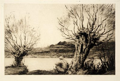 De wilgen, door Kerr Eby